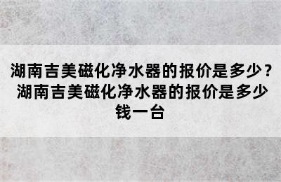 湖南吉美磁化净水器的报价是多少？ 湖南吉美磁化净水器的报价是多少钱一台